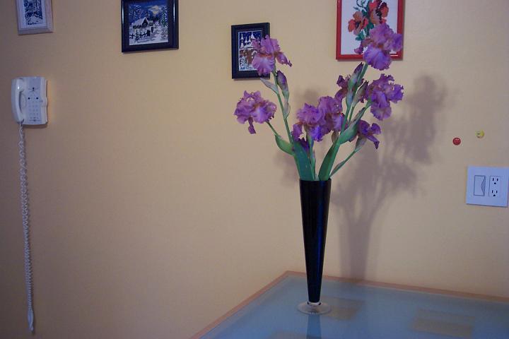 May_Taylortown 007.jpg